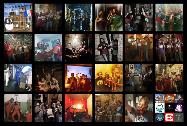 Pingouins Ténébreux, Montpellier