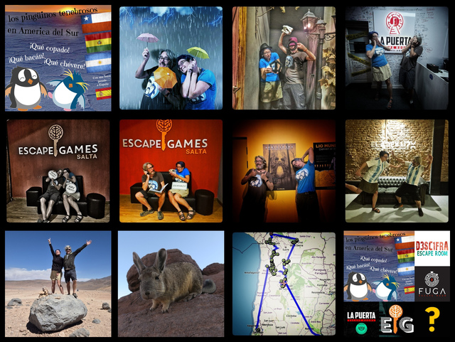 Pingouins Ténébreux, en visite en Amérique du Sud