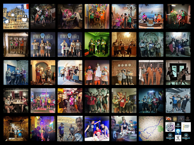 Pingouins Ténébreux, les pays de la Loire